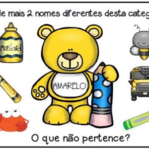 Classificação com os Ursos – Atividade